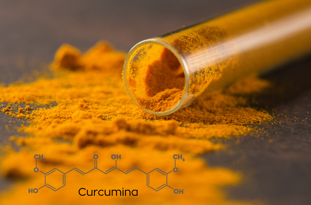 ¿Qué es la curcumina (y por qué es la protagonista de la cúrcuma)?
