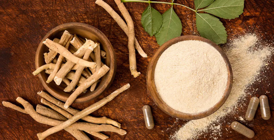 Ashwagandha: tu aliada zen en forma de planta 🌿