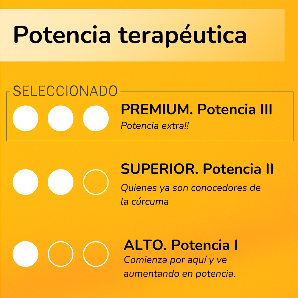 Cúrcuma de Lakadong, India. Calidad Premium 7-9% de Curcumina