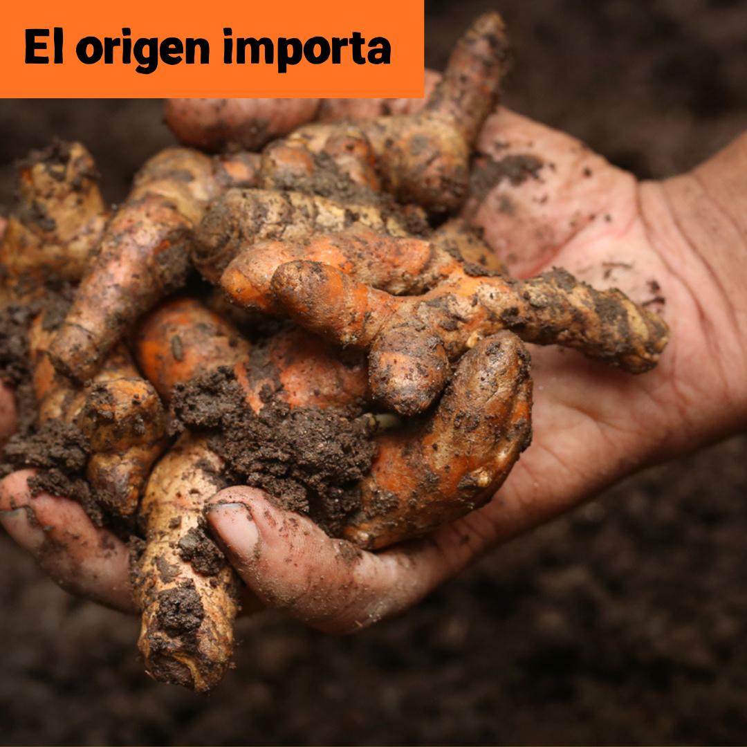 NUEVO PACK STARTER.  2 x 150gr (150 porciones)  | 🔥25%🔥