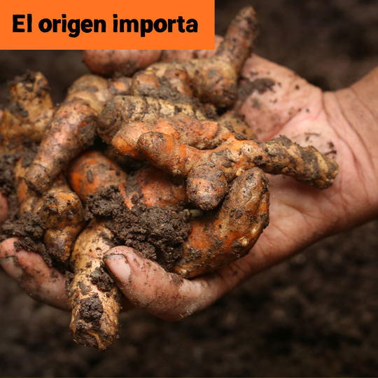 NUEVO PACK STARTER.  2 x 150gr (150 porciones)  | 🔥25%🔥