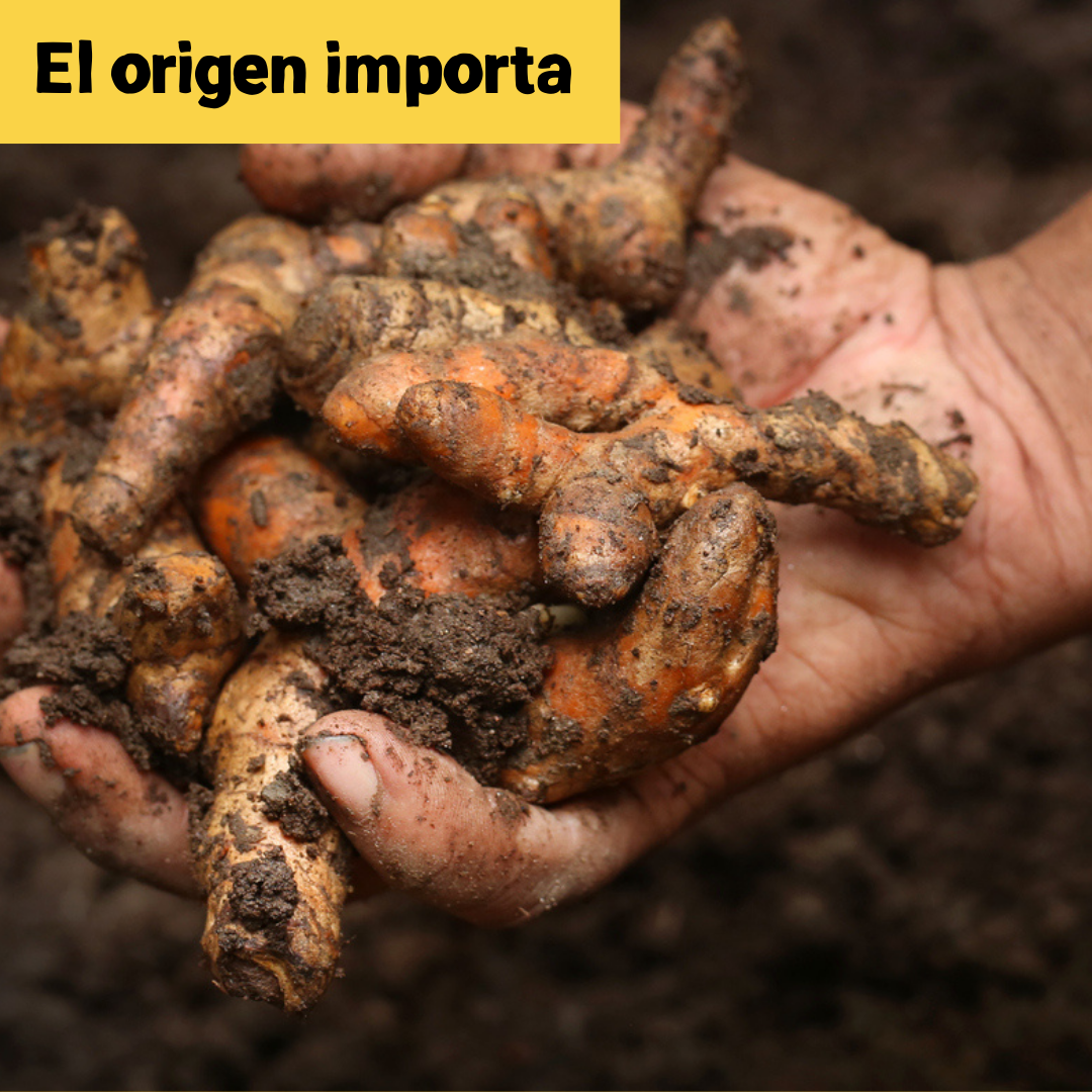 NUEVO Pack EXPERT. 2 x 150gr (150 porciones)  | 🔥30%🔥