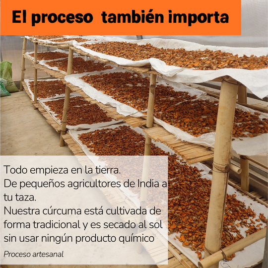 NUEVO PACK STARTER.  2 x 150gr (150 porciones)  | 🔥25%🔥