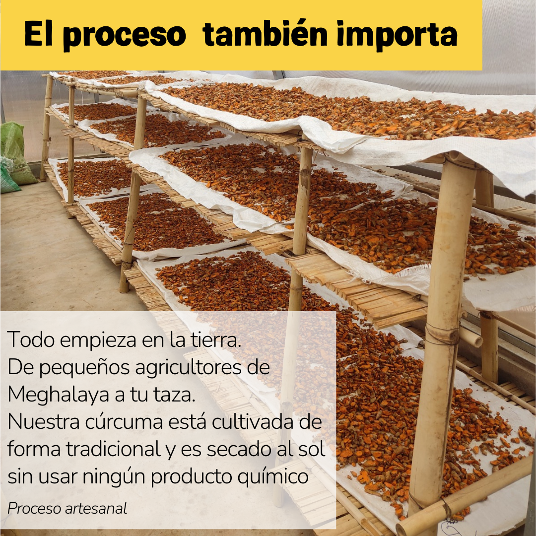 NUEVO Pack EXPERT. 2 x 150gr (150 porciones)  | 🔥30%🔥