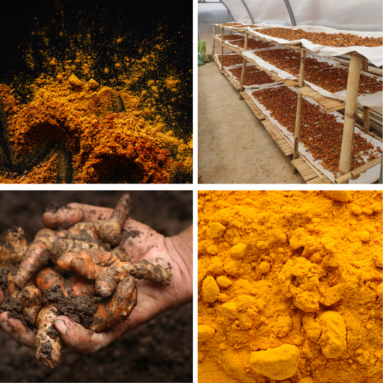 NUEVO Pack EXPERT. 2 x 100gr (100 porciones)